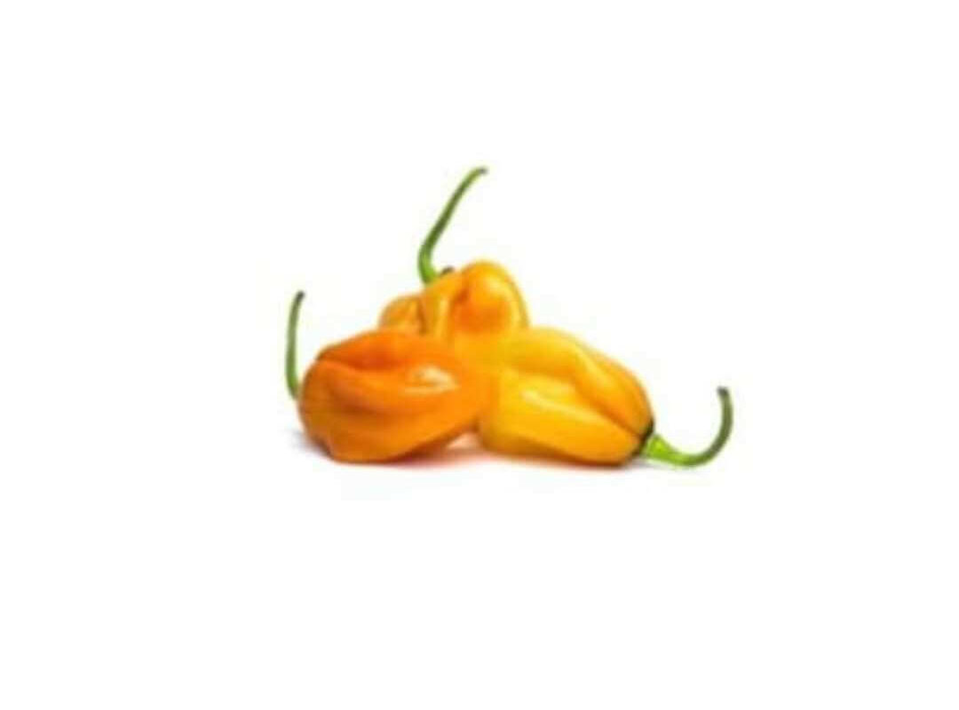 Habanero