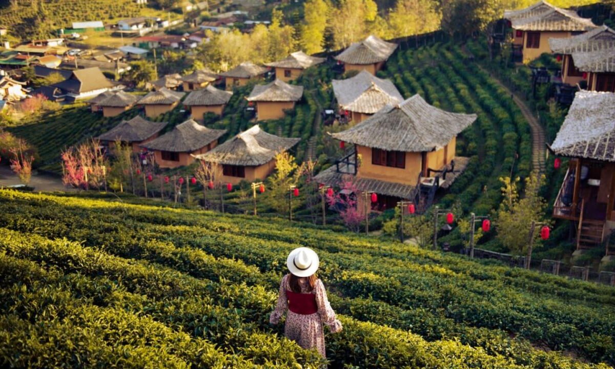 Authentic Experience