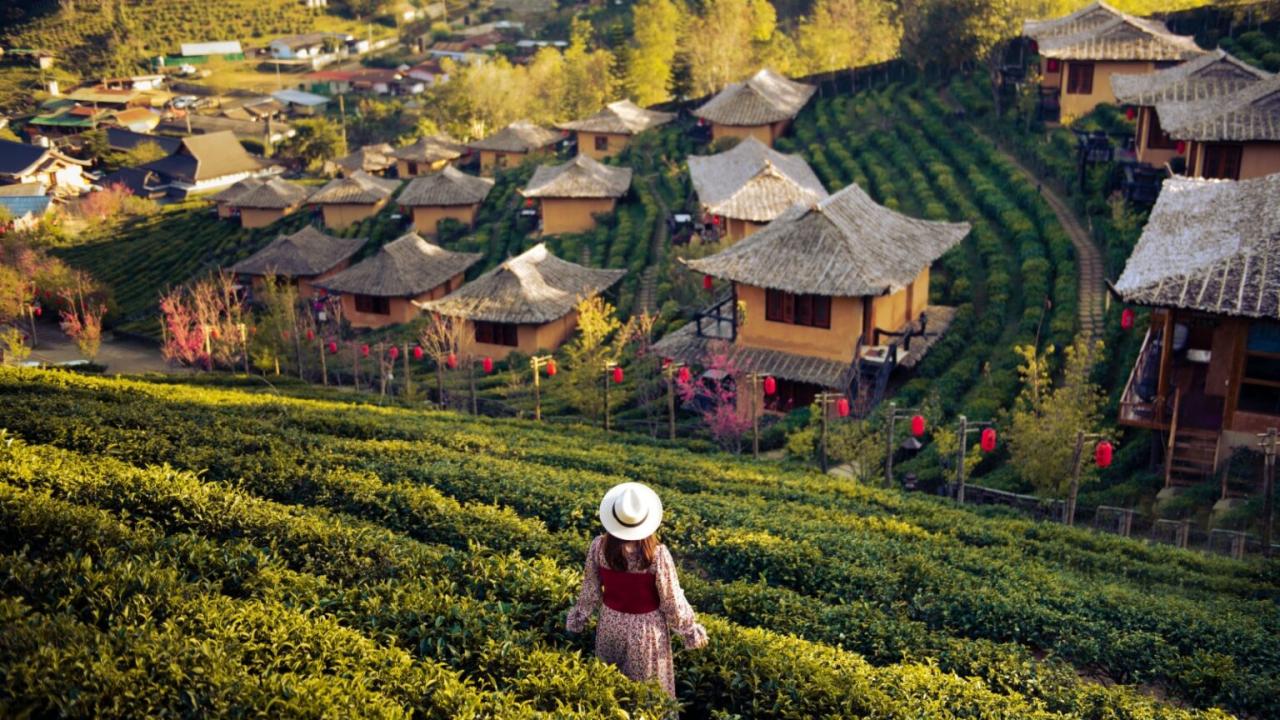 Beyond Tourist Traps: 15 Authentic Experiences to Immerse Yourself in ...
