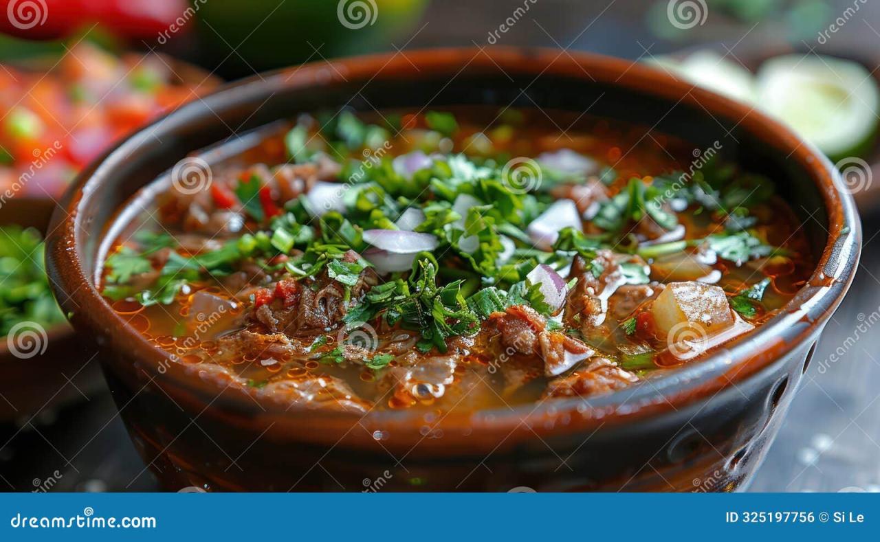 Birria Delight: Savory Mexican Stew with Rich Flavorful Broth Stock ...